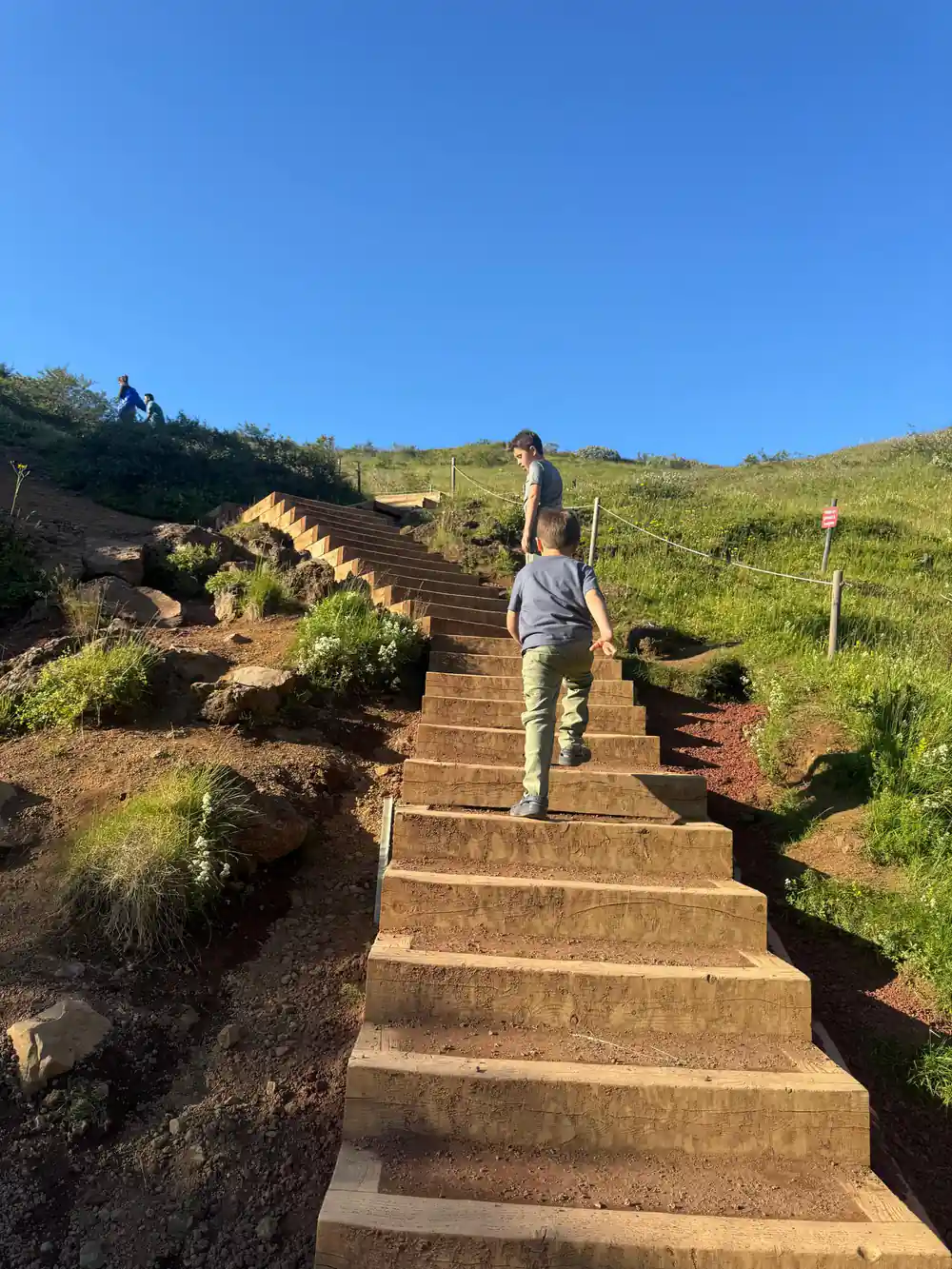 Child running up wooden steps through green hillside vegetation